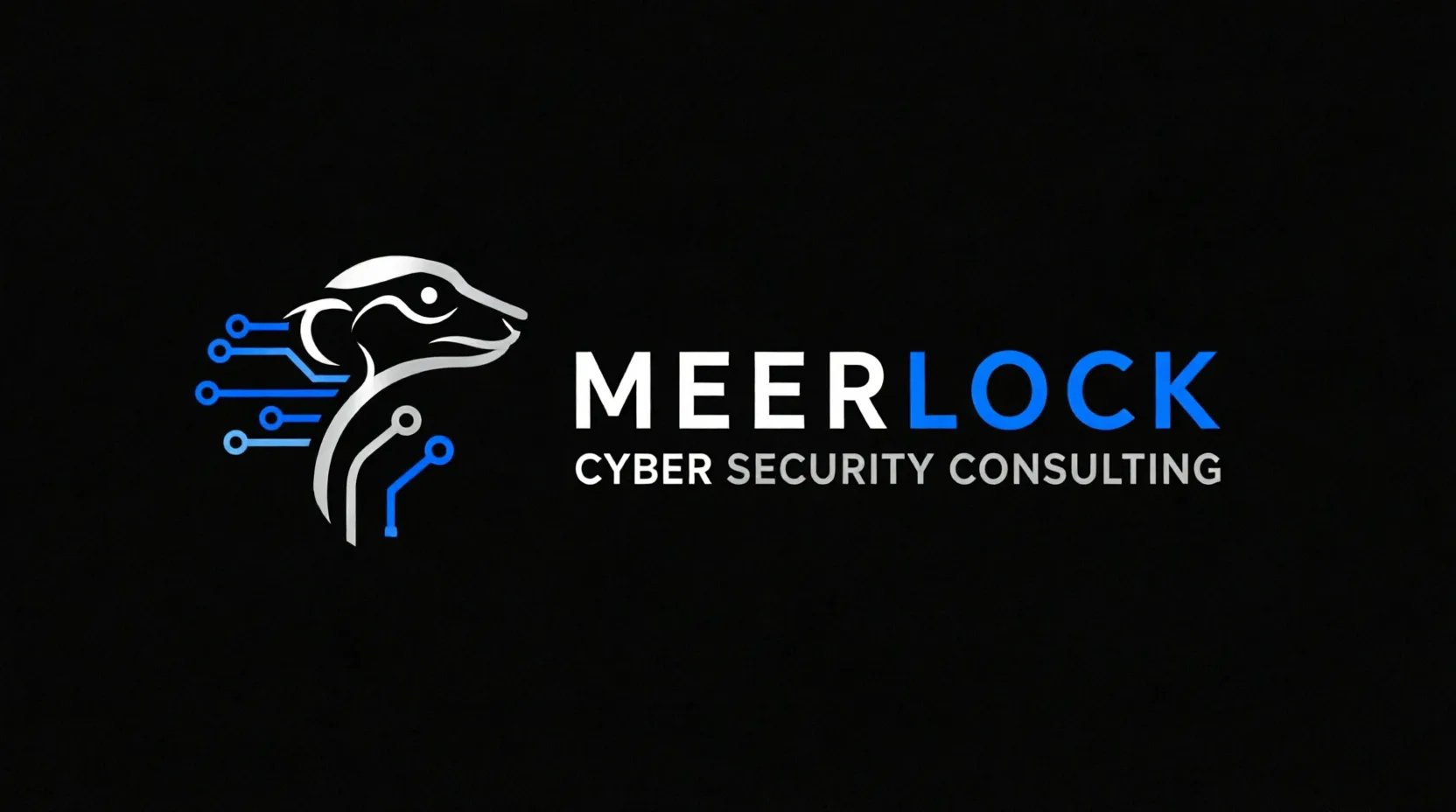 MeerLock